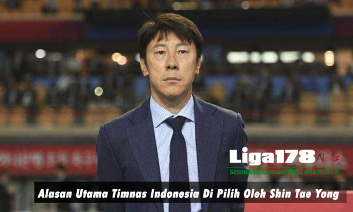 Alasan Utama Timnas Indonesia Di Pilih Oleh Shin Tae Yong