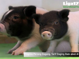 China, Daging Babi, America Serikat, Libur Natal, Liga178 News