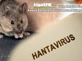 Hantavirus, Virus Corona Covid-19, Gejala, Liga178 News