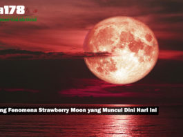 Tentang Fenomena Strawberry Moon yang Muncul Dini Hari Ini