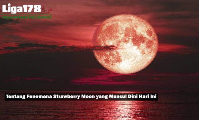Tentang Fenomena Strawberry Moon yang Muncul Dini Hari Ini